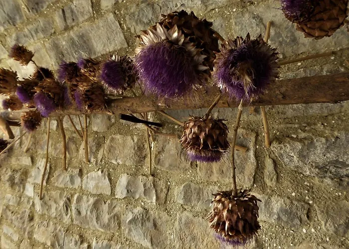 B&B Dos Arcos Usana 3*